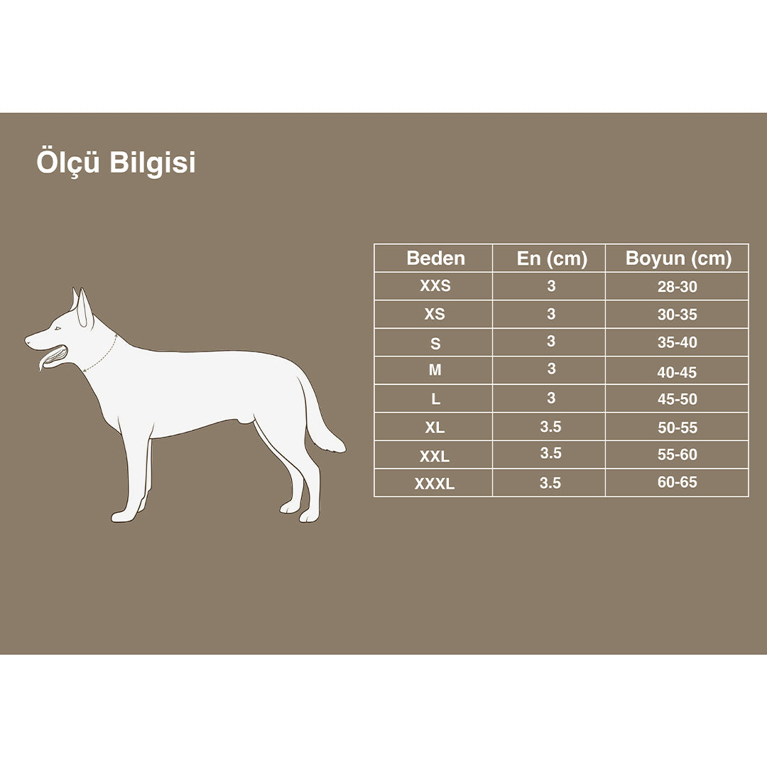 Renkli Çiçek Desenli, Neoprene Süngerli Mavi Boyun Tasması