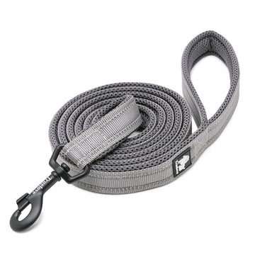 Yumuşak Süngerli Gri Tasma Kayışı