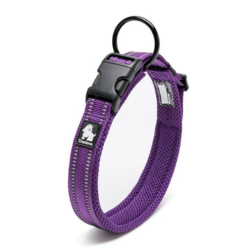 Yumuşak Süngerli, Mesh Mor Boyun Tasması