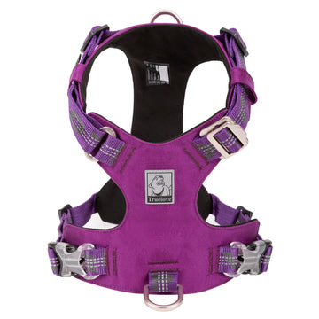 Cordura Kumaşlı, Suya Dayanıklı Mor Göğüs Tasması