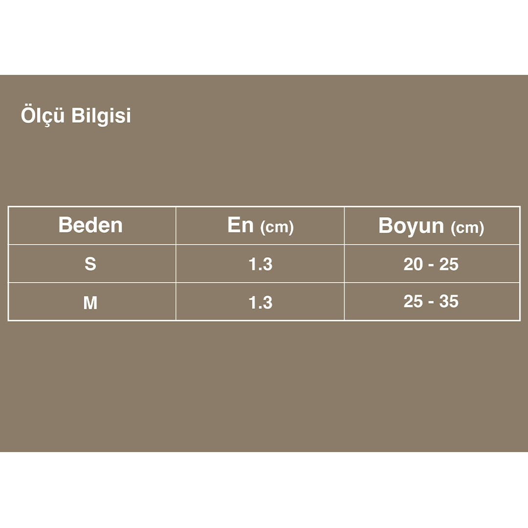 Zilli, Çiçekli Mavi Kedi Boyun Tasması