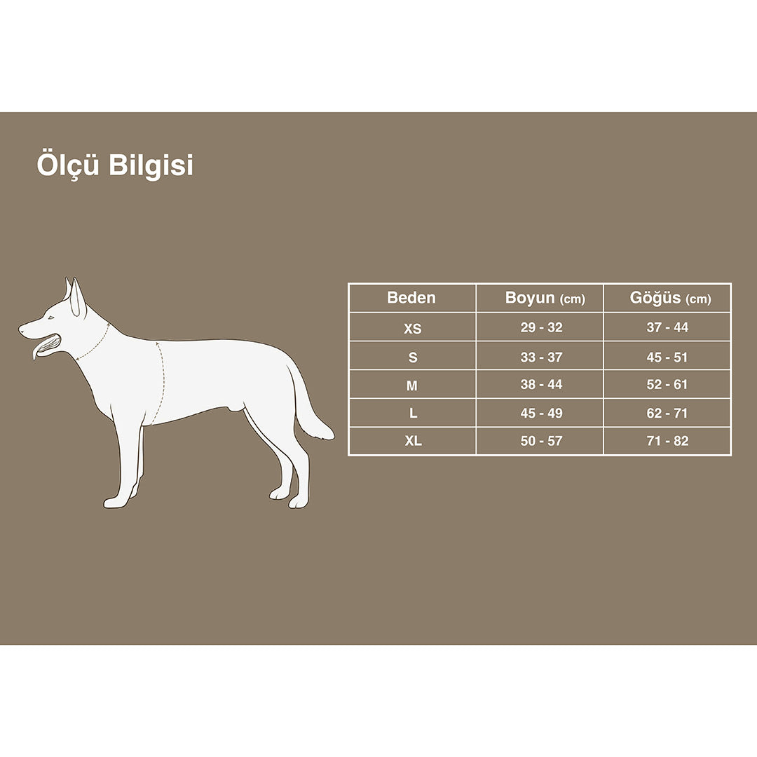 Araç Güvenlikli Kahverengi Göğüs Tasması