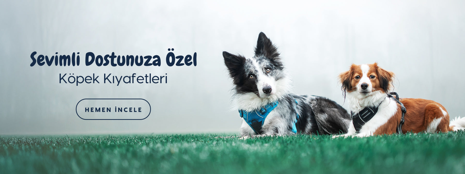 slider image slider_item_HnrjgW