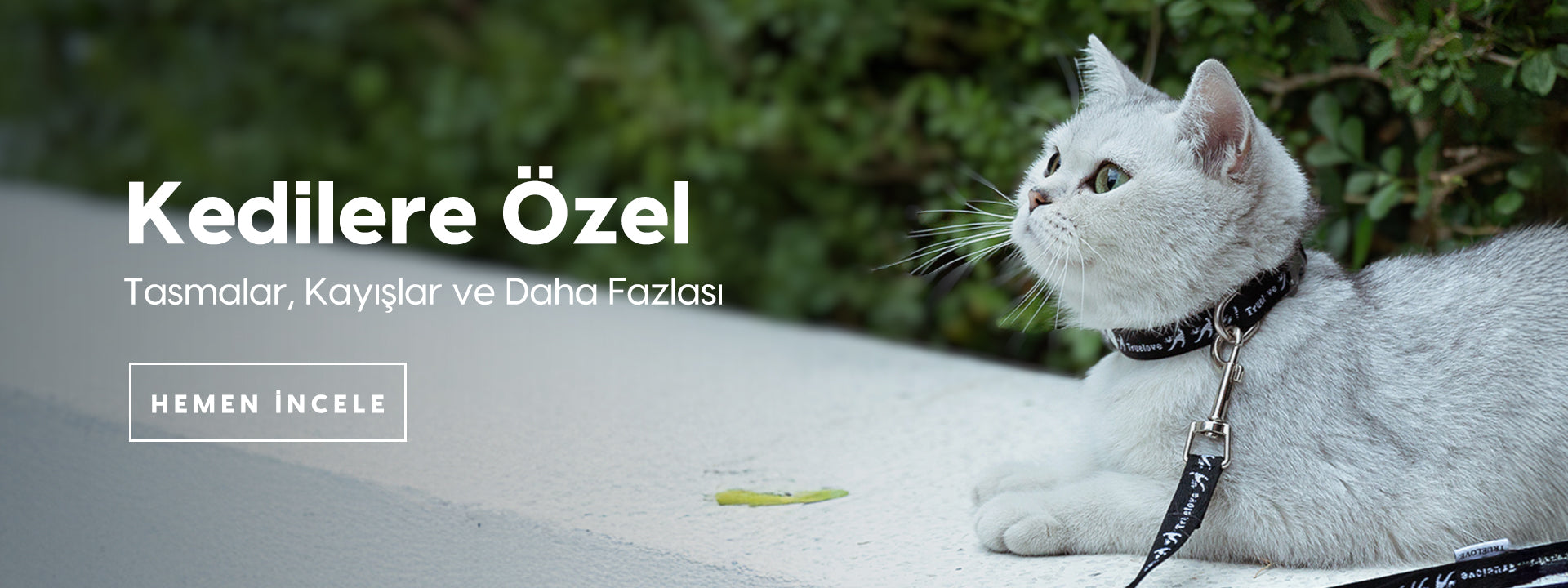 slider image 1621243260e1af0c20-1