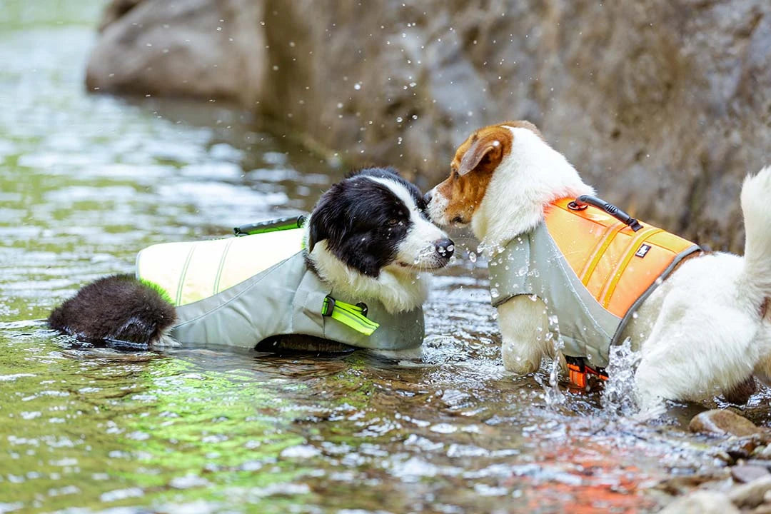 Köpek Can Yeleklerinin Önemi