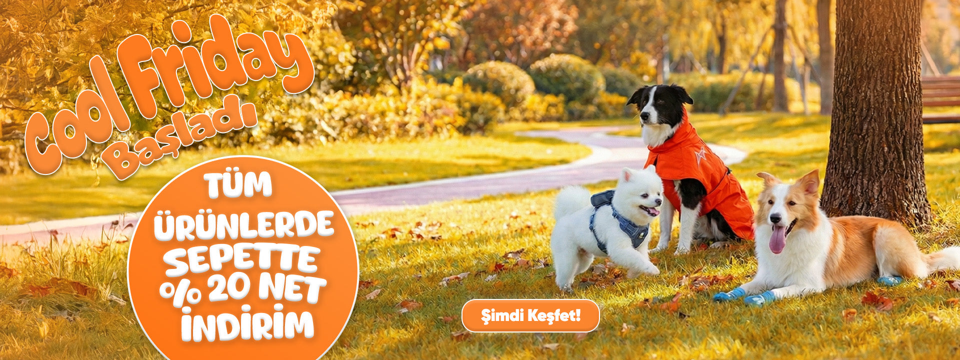 slider image slider_item_gDgpc7