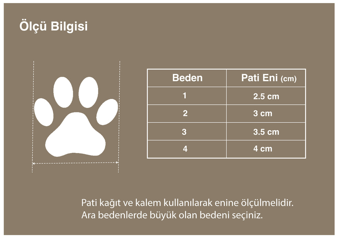 Fermuarlı, Siyah Köpek Ayakkabısı
