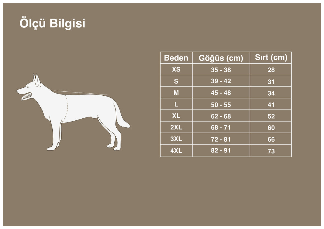 Birdy Mor Köpek Kıyafeti