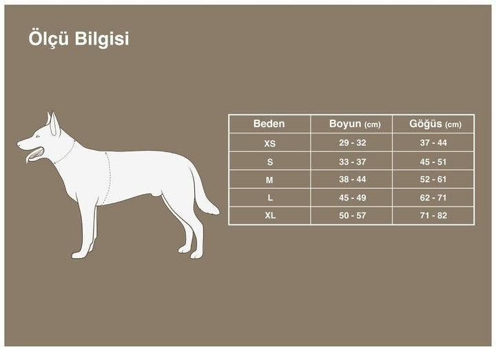 Araç Güvenlikli Kahverengi Göğüs Tasması