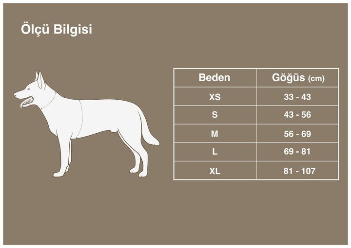 Çiçek Desenli, Alüminyum D-Halkalı, Ergonomik Mavi Göğüs Tasması