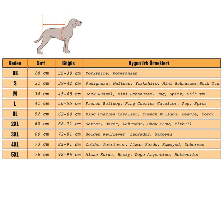 Galaksi Yeşil Köpek Kıyafeti