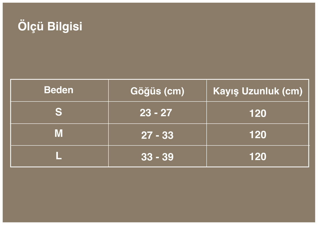 Zilli, Dayanıklı Siyah Kedi Göğüs Tasması ve Kayışı