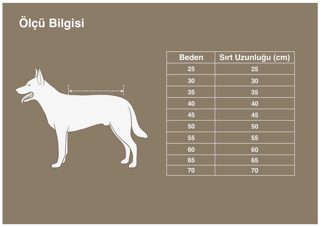 Boyunluklu, Su Geçirmez Turuncu Köpek Kıyafeti