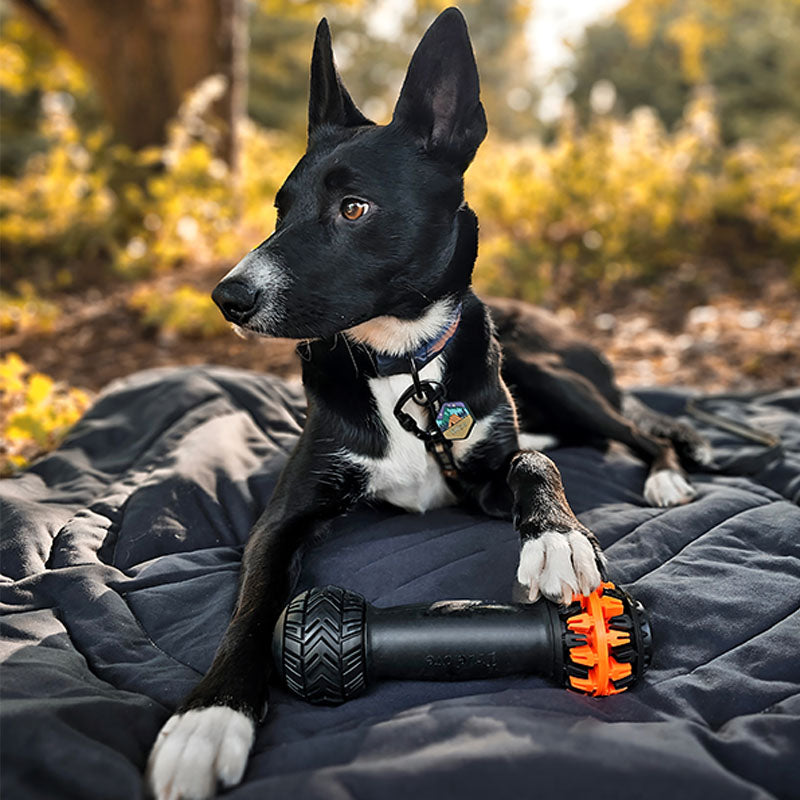 Çiğnenebilir, İçine Mama Konulabilen Asker Yeşili Köpek Oyuncağı
