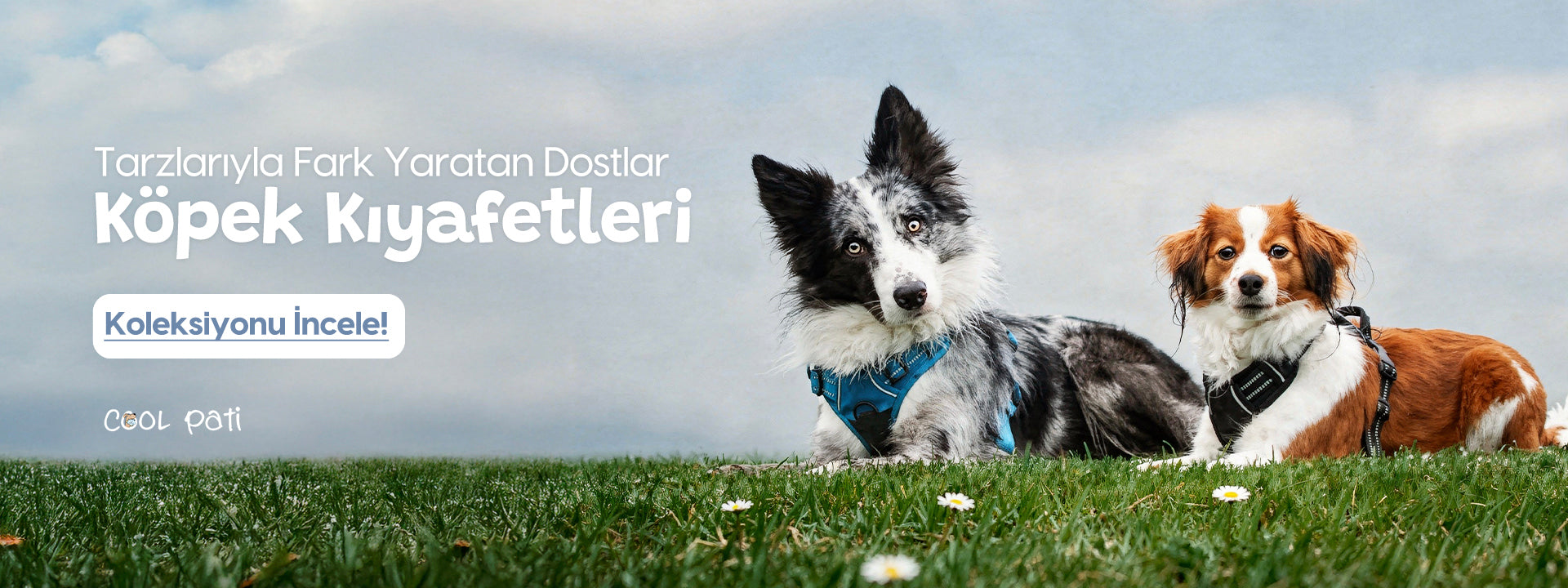 slider image slider_item_HnrjgW