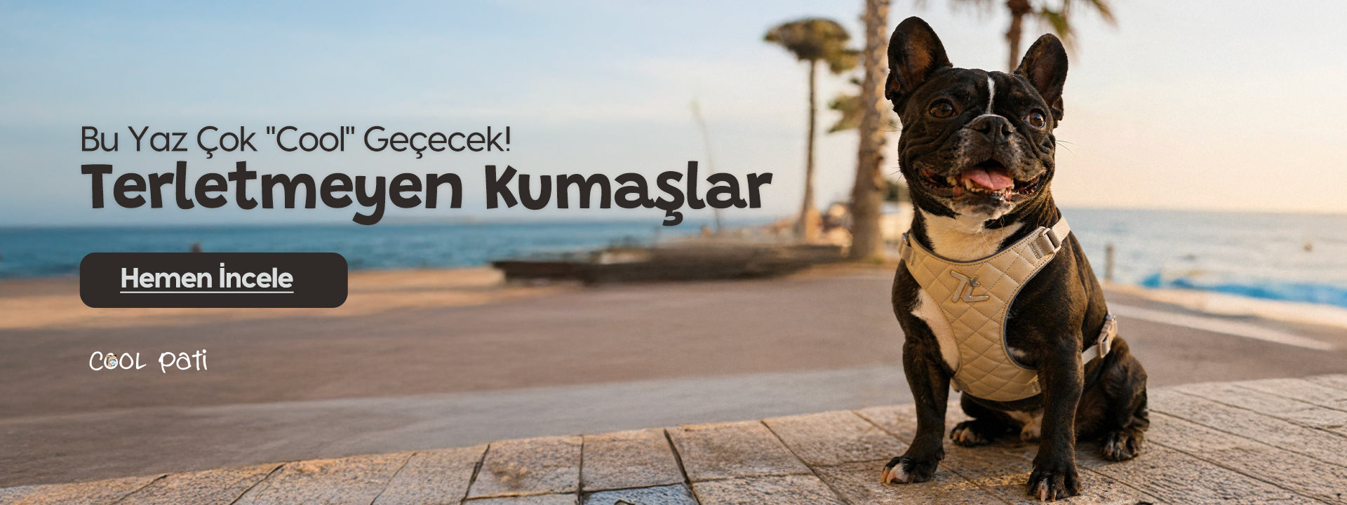 slider image slider_item_chbTKU