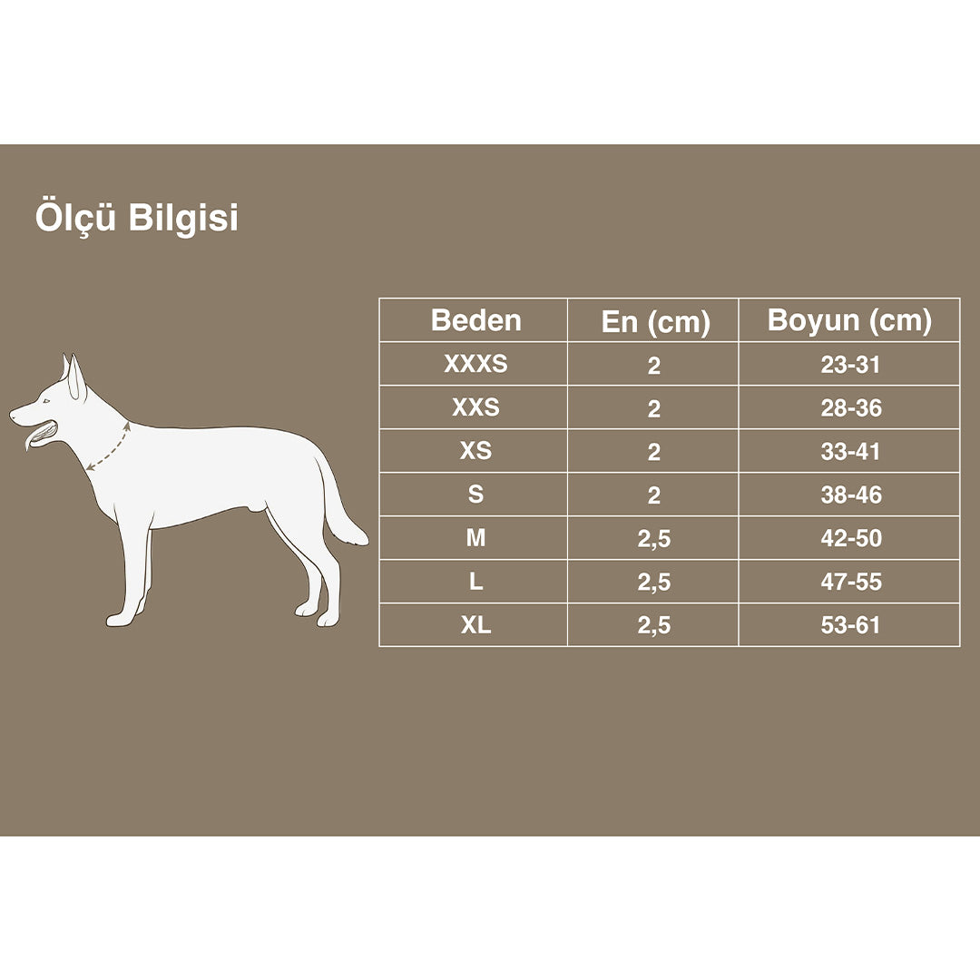 DuraPup Turuncu Köpek Boyun Tasması
