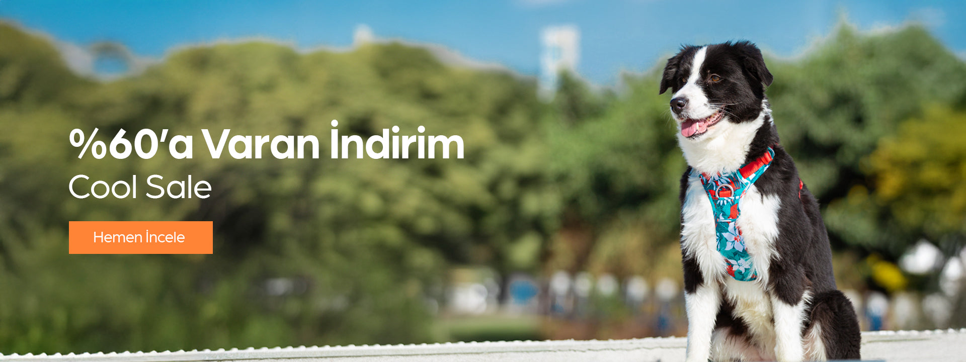 slider image 1621243260e1af0c20-0